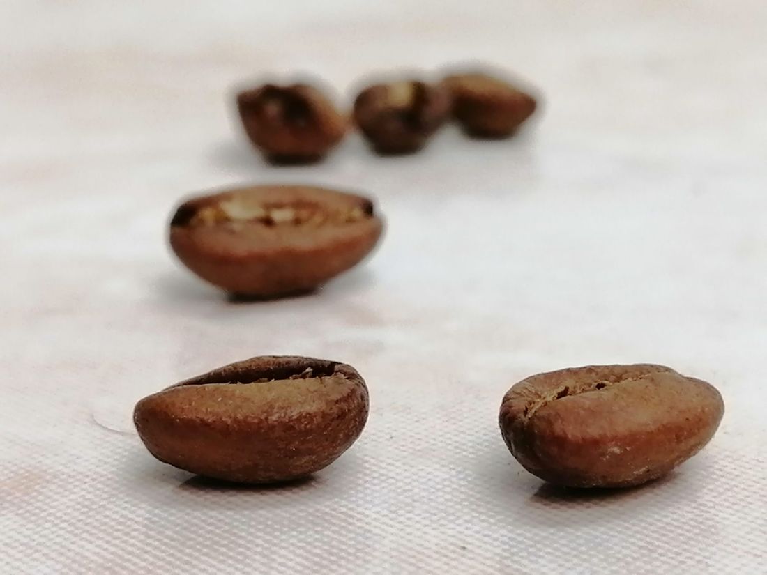 Patios de secado de café