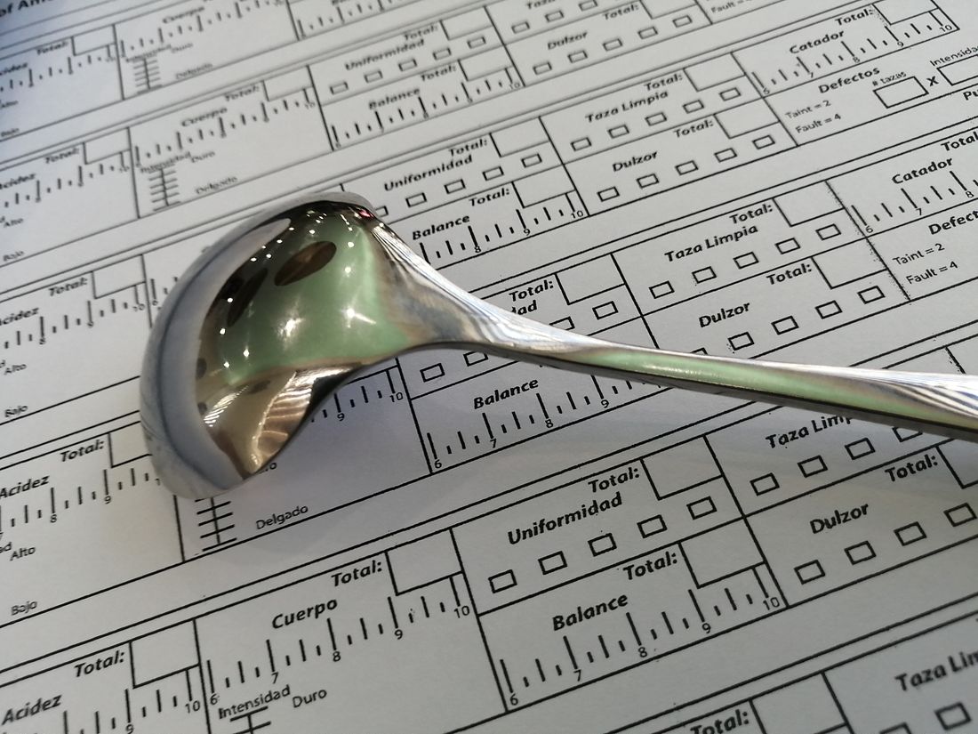 Cucharas de catación sobre hoja de calificación