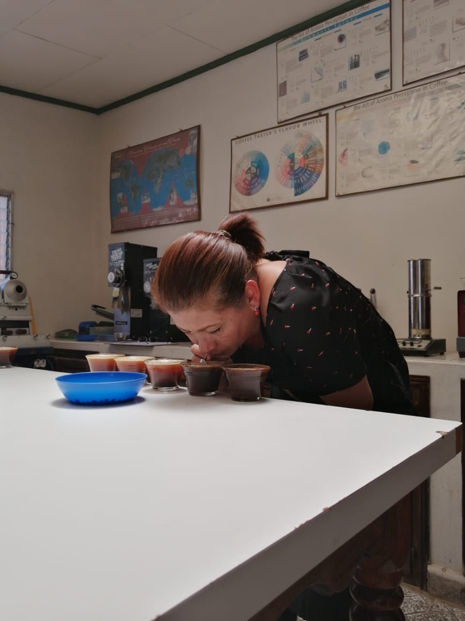 Catadora evaluando el aroma de una muestra de café