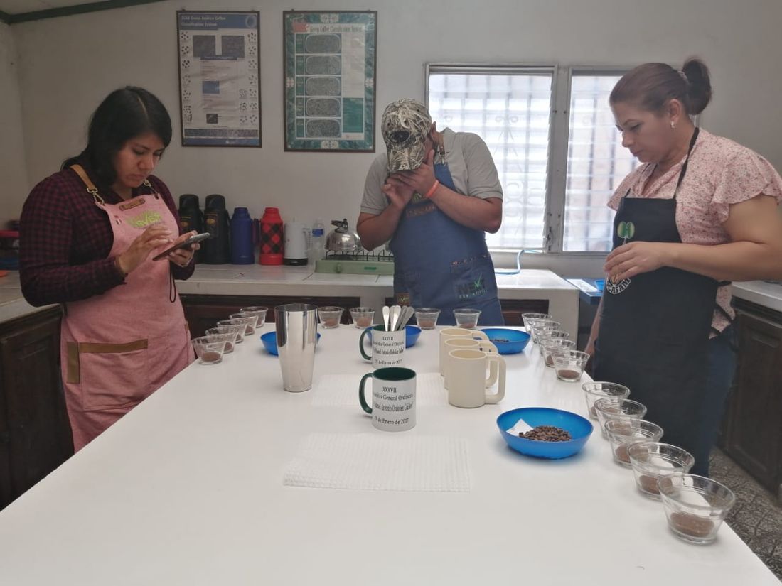 Equipo de catadoras trabajando en el laboratorio