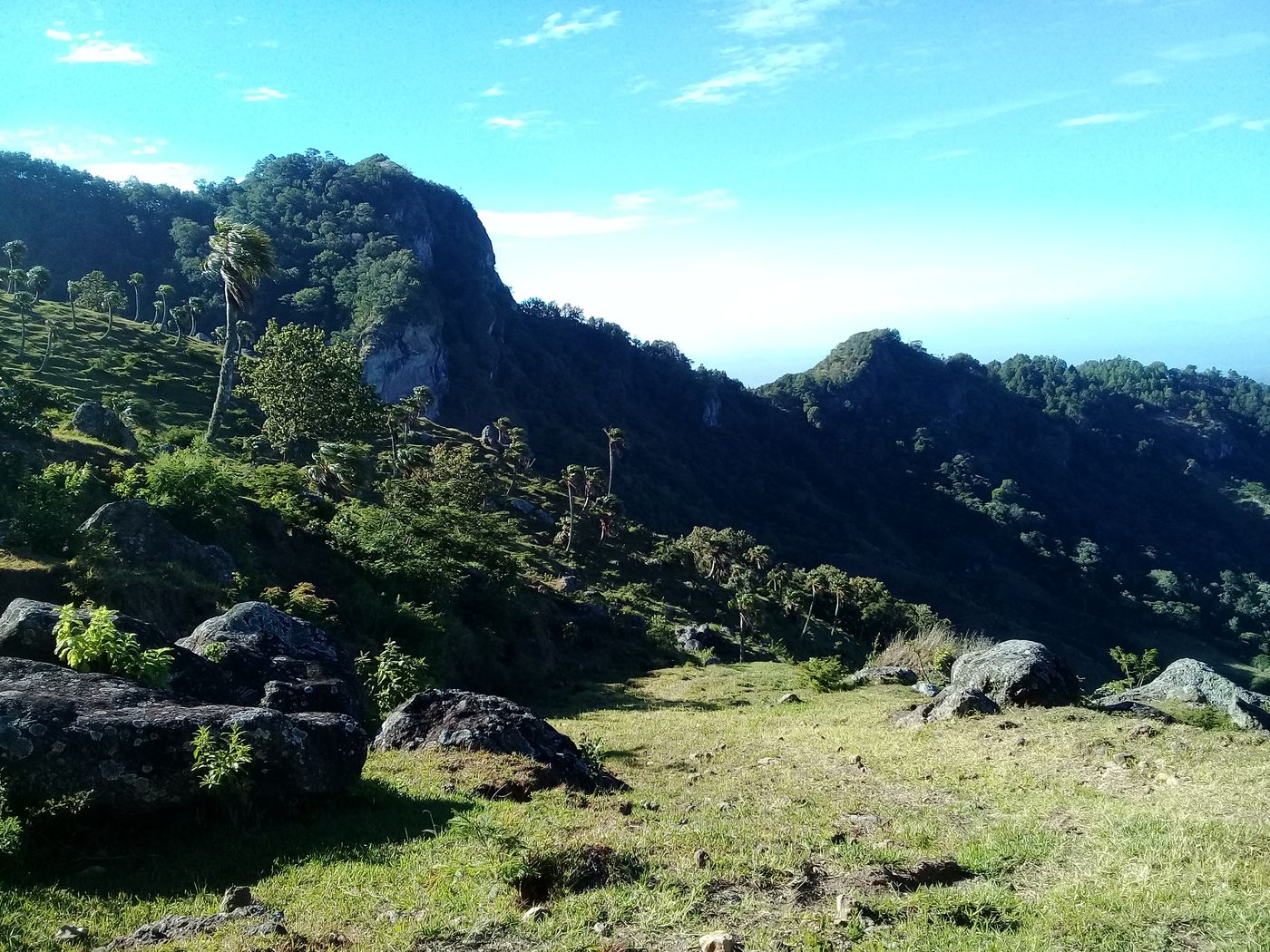 Productores en labores de conservación